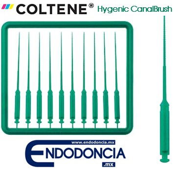 Eficacia de los diferentes protocolos de irrigación final para el desbridamiento del conducto radicular